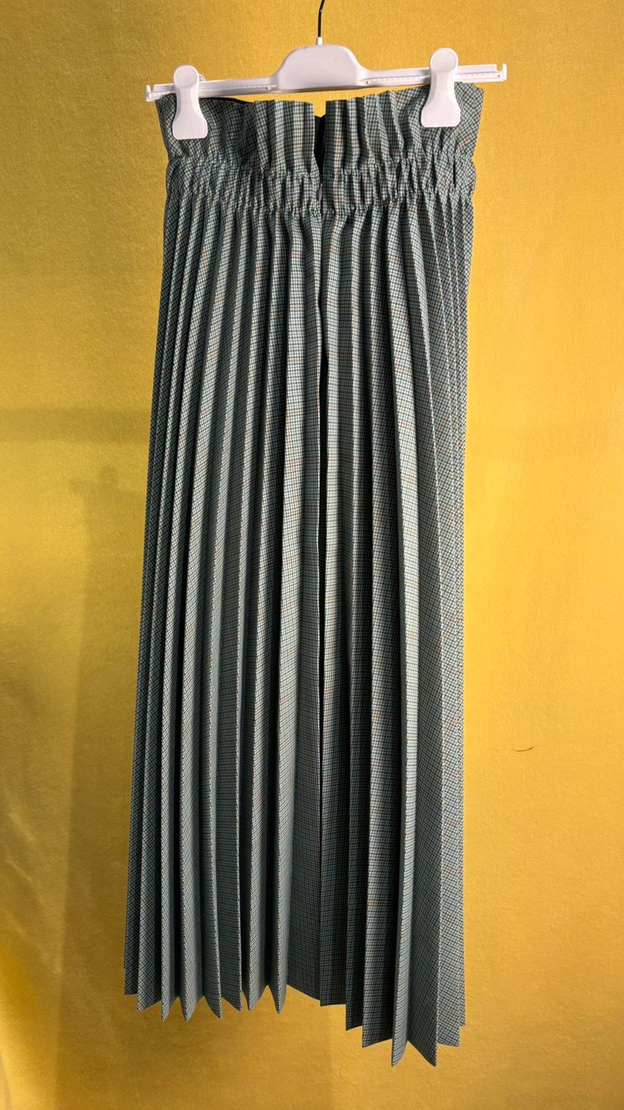 Gonna plisset in micro pies de puole